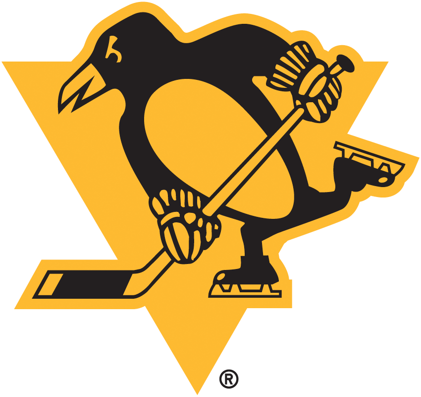 Pittsburgh Penguins 2019 Special Event Logo t shirts DIY iron ons